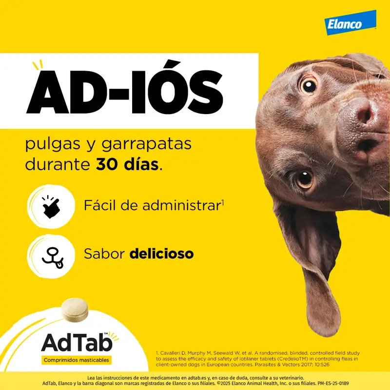 Adtab 112Mg Comp. Masticables Perros 2,5-5,5Kg, 6 Comprimidos - Image 7