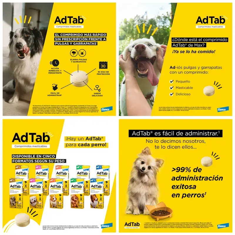 Adtab 450Mg Comprimidos Masticables Perros 11-22Kg, 2 Comprimidos - Image 9