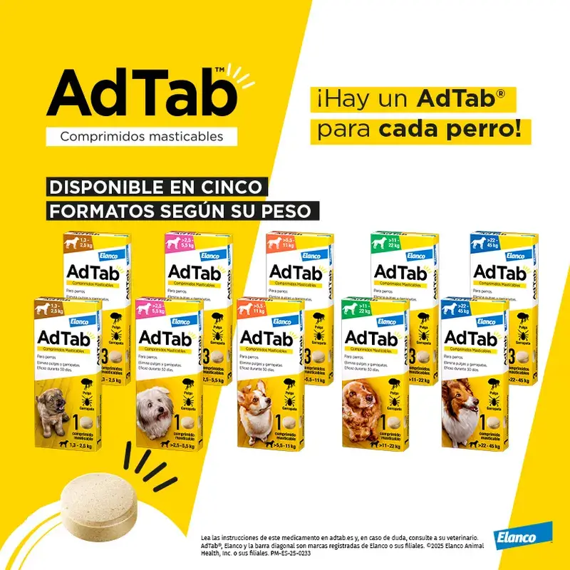 Adtab 900Mg Comprimidos Masticables Perros 22-45Kg, 2 Comprimidos - Image 4