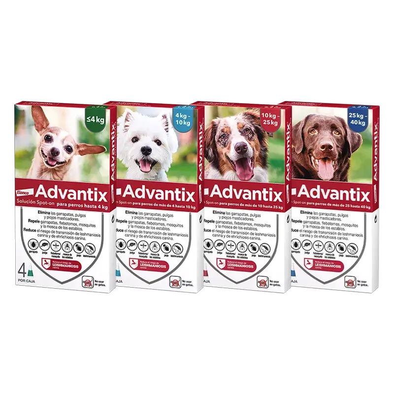 Advantix Pipetas Antiparasitarias Para Perros De 4 A 10 Kg, 8 Unidades X 1 Ml - Image 4