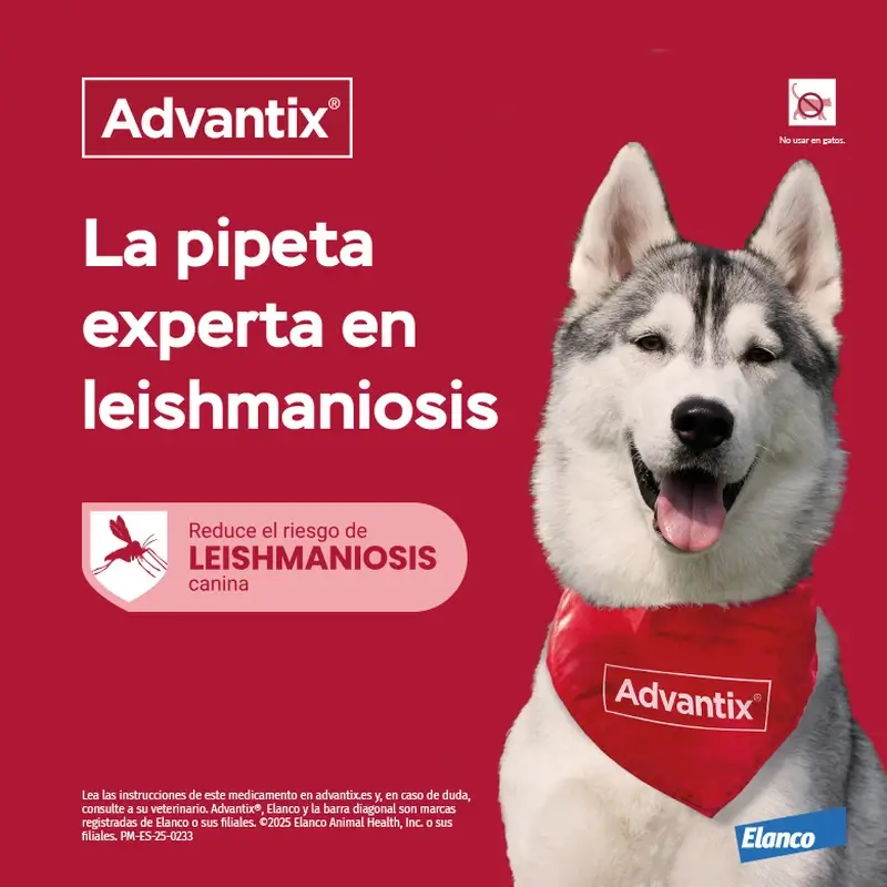 Advantix Pipetas Antiparasitarias Para Perros De 4 A 10 Kg, 8 Unidades X 1 Ml - Image 5