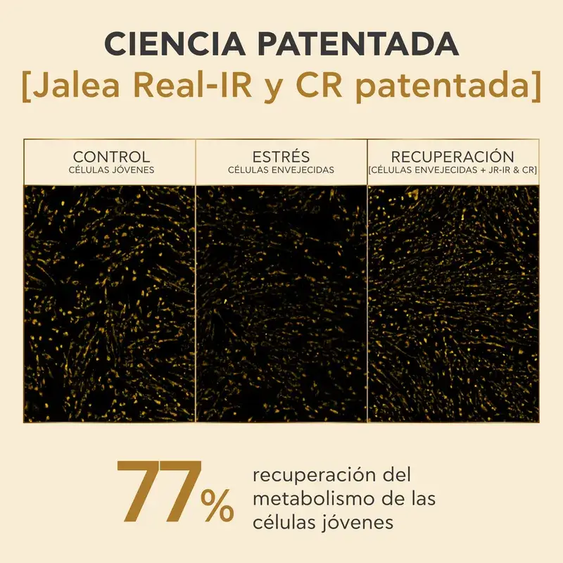 Apivita Queen Bee Longevity Crema Rica 12 Marcadores De Juventud, 50 ml - Image 7