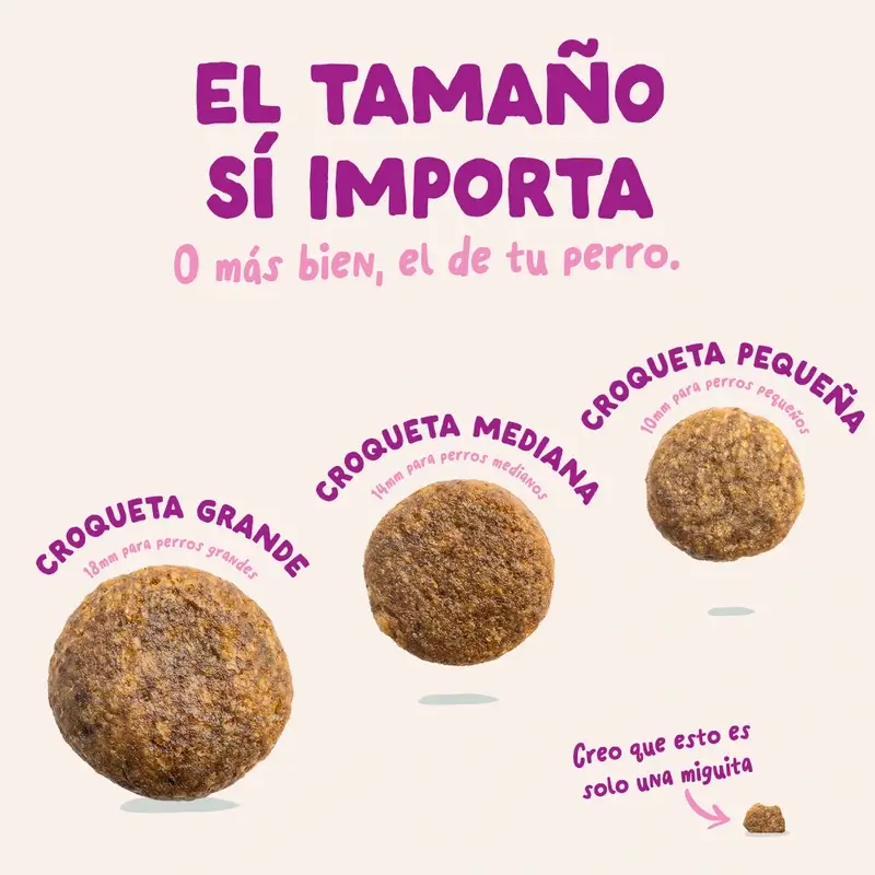 Edgard & Cooper Pienso Para Cachorros Grandes Con Pato Y Pollo Frescos , 12 kg - Image 7