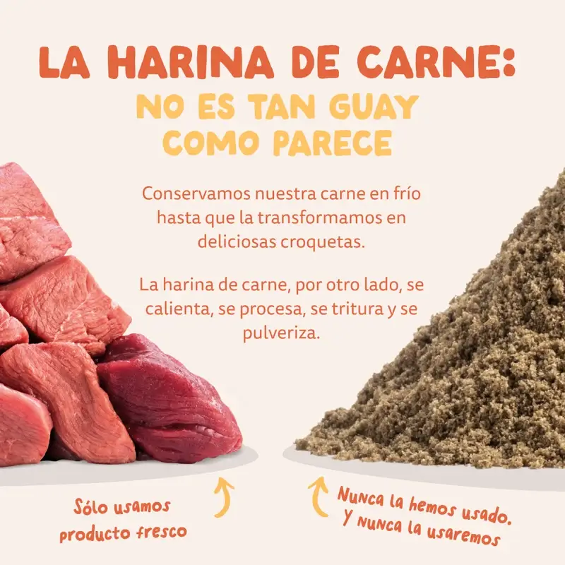 Edgard & Cooper Pienso Para Perros Adultos Medianos Con Pollo Fresco , 7 kg - Image 11