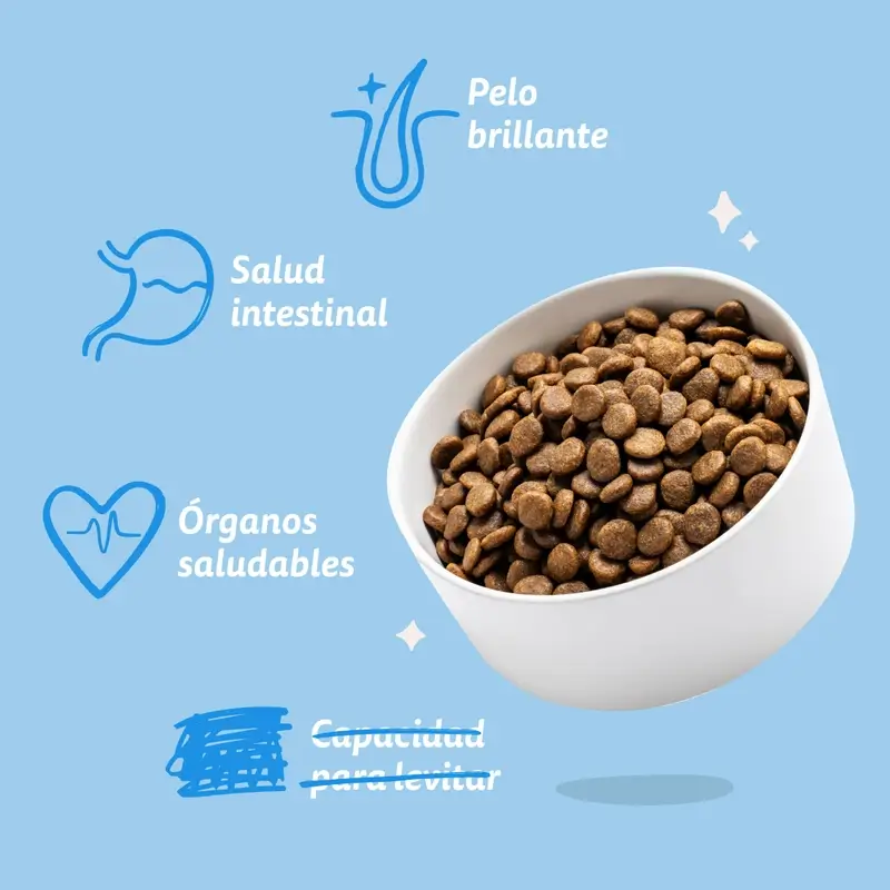 Edgard & Cooper Pienso Para Perros Adultos Medianos Con Salmón Fresco , 1 kg - Image 8
