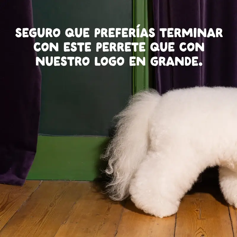 Edgard & Cooper Pienso Para Perros Adultos Mini Con Cordero Fresco , 3 kg - Image 11