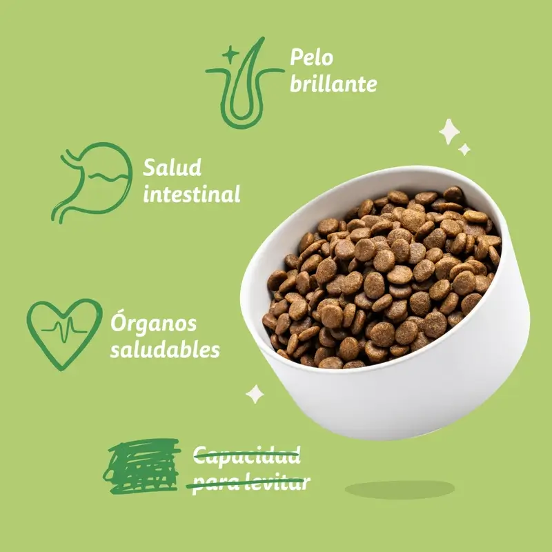 Edgard & Cooper Pienso Para Perros Adultos Mini Con Cordero Fresco , 3 kg - Image 7