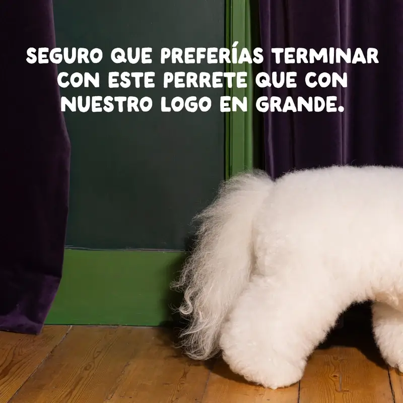 Edgard & Cooper Pienso Para Perros Adultos Mini Con Pollo Fresco , 3 kg - Image 10