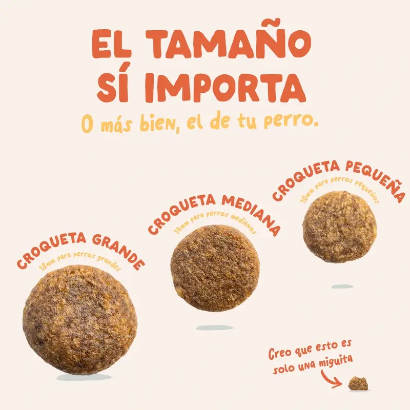 Edgard & Cooper Pienso Para Perros Adultos Mini Con Pollo Fresco , 3 kg - Image 6