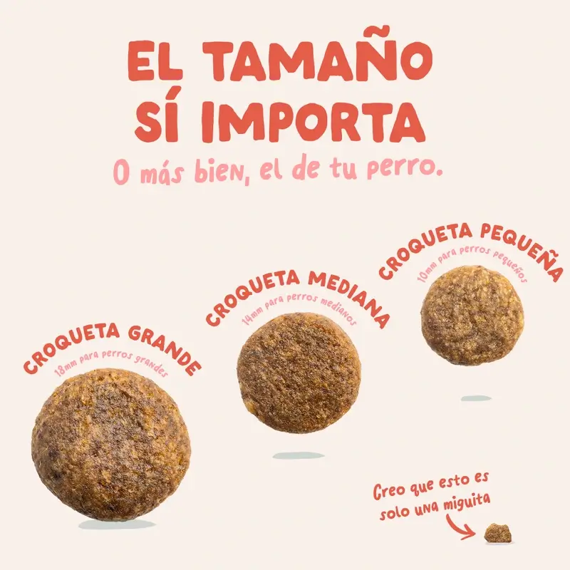 Edgard & Cooper Pienso Para Perros Senior Medianos Con Pollo Y Salmón Frescos , 7 kg - Image 7