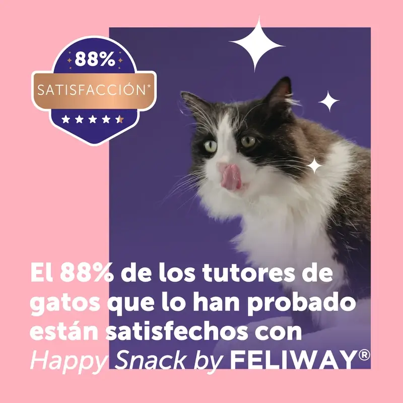 Feliway Happy Snack Sabor Salmón, 24 sobres - Image 4