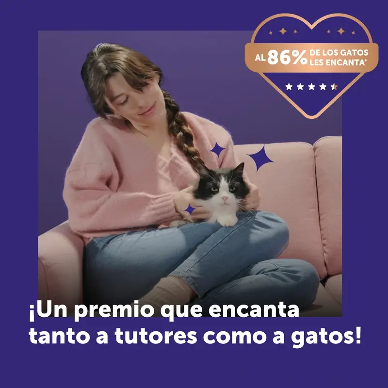 Feliway Happy Snack Sabor Salmón, 6 sobres - Image 8