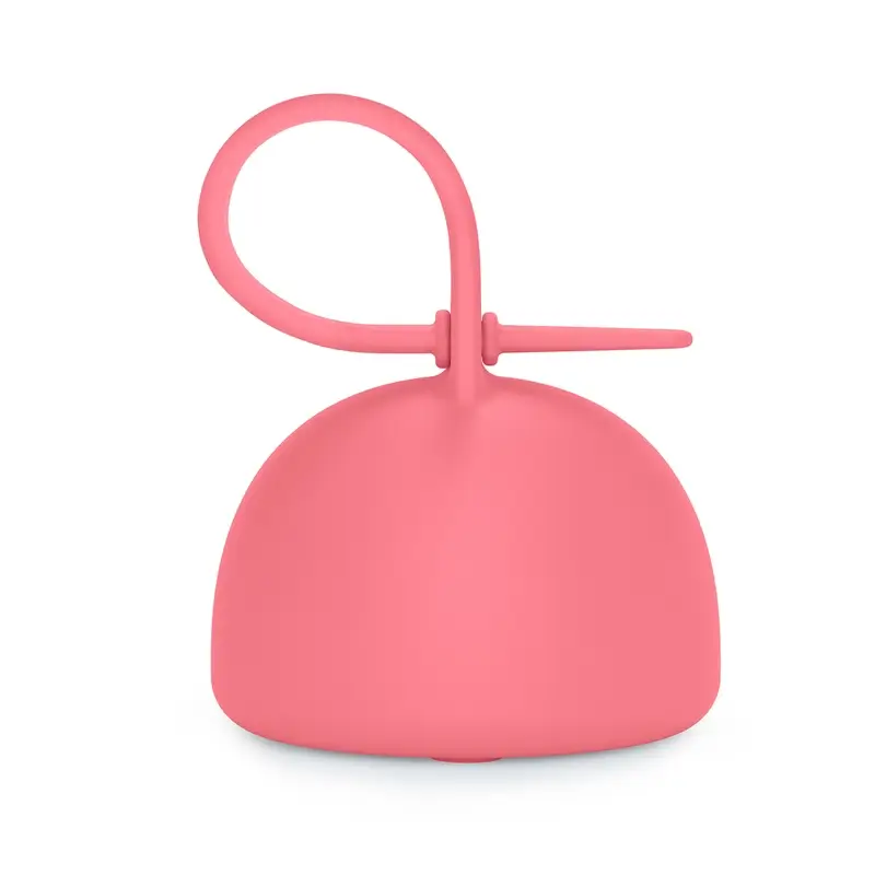 Suavinex Portachupetes De Silicona Con Asa, +0 Meses, Fuchsia