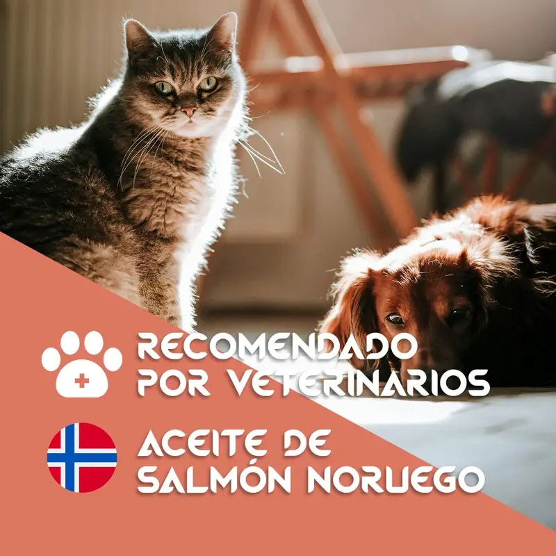 Togo Aceite De Salmon, 250 ml - Image 7